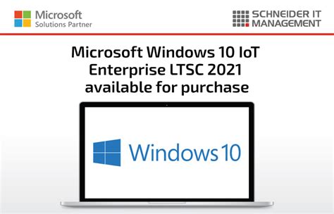 windows 10 iot enterprise 購入方法: なぜ猫は窓の外を見つめるのか？